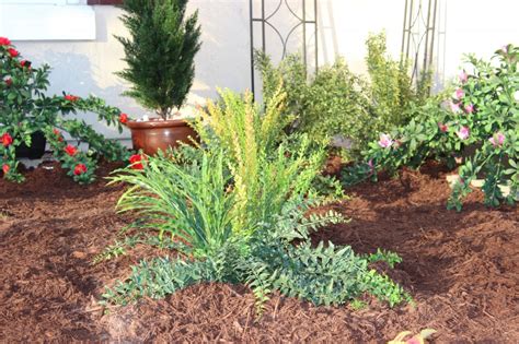 are drought intolerant plants fake plants